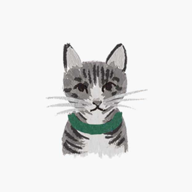 Pets Personalized Stationery - Cat 5